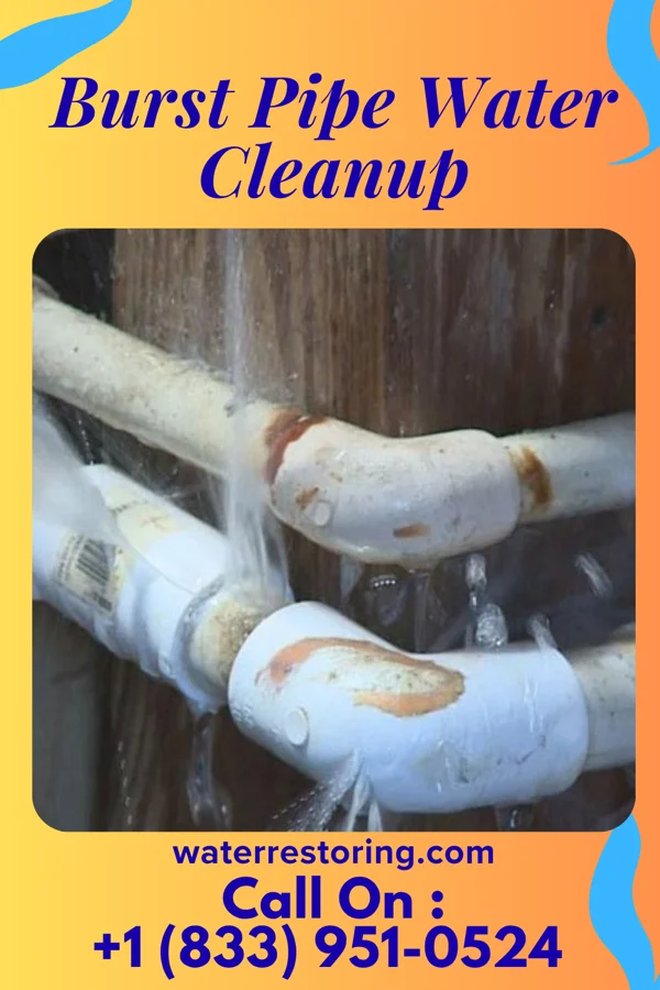 Burst Pipe Water Cleanup in Almedia, PA