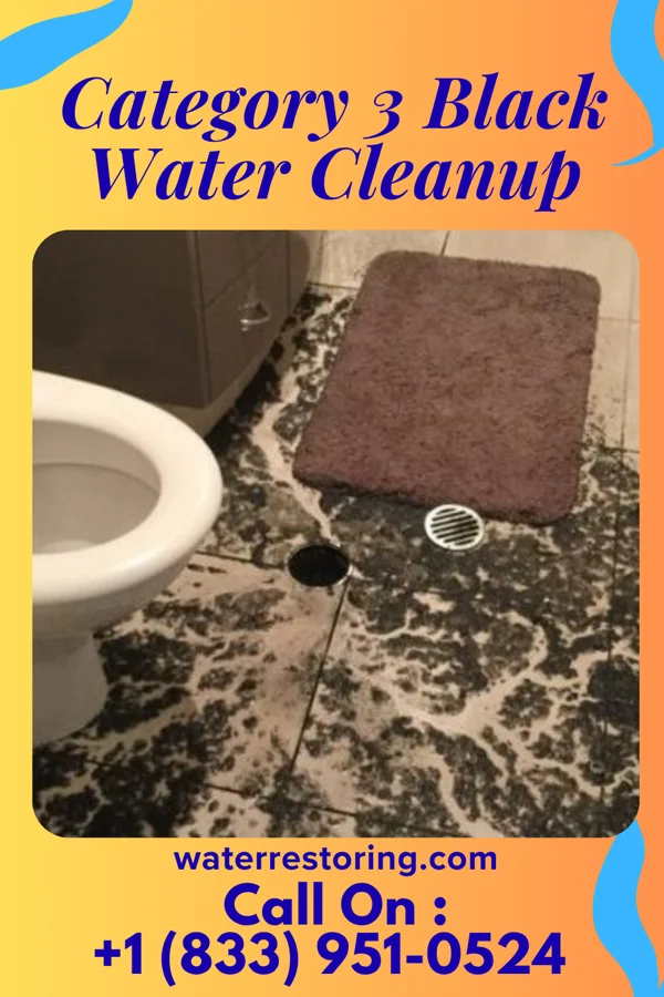 Category 3 Black Water Cleanup in Almedia, PA