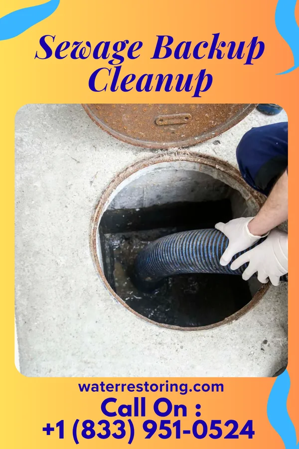 Sewage Backup Cleanup in Almedia, PA
