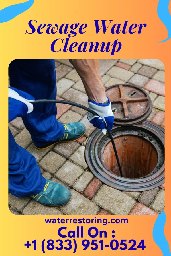 Sewage Water Cleanup in Almedia, PA
